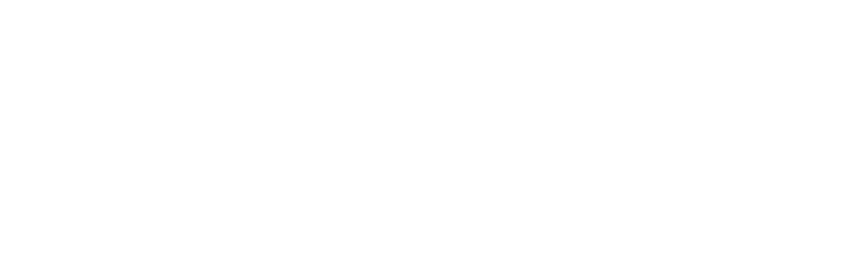 Claude Partner Network. Webpuppies is a member of the Claude Partner Network, Services Track.