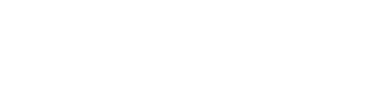 openAI-white